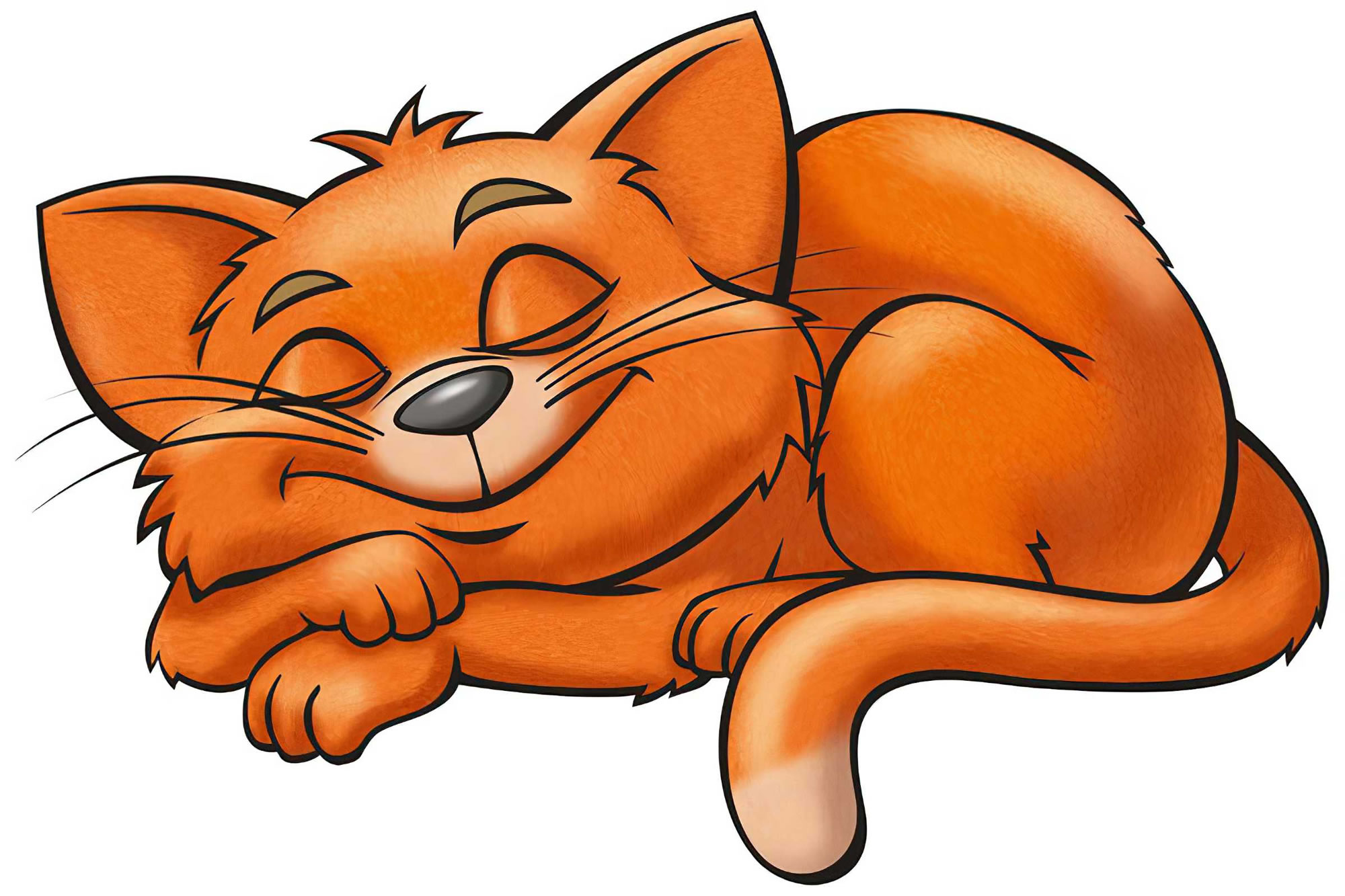 Картинка кота для детей. Мультяшный кот. Рыжий кот мультяшный. Мультяшный кот на прозрачном фоне. Мультяшные рыжие коты.