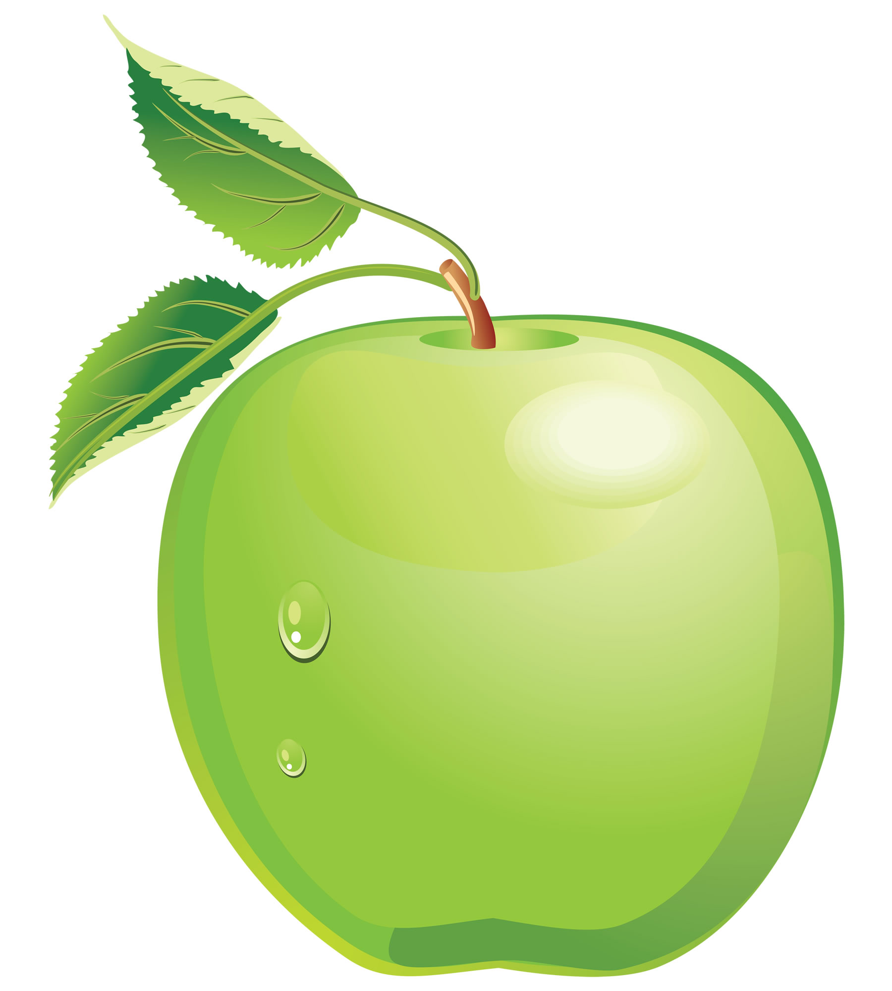 Зелёное яблоко картинка для детей